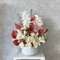 Mother’s Day Luxury Orchid & Anthurium Arrangement – Same Day Delivery Los Angeles