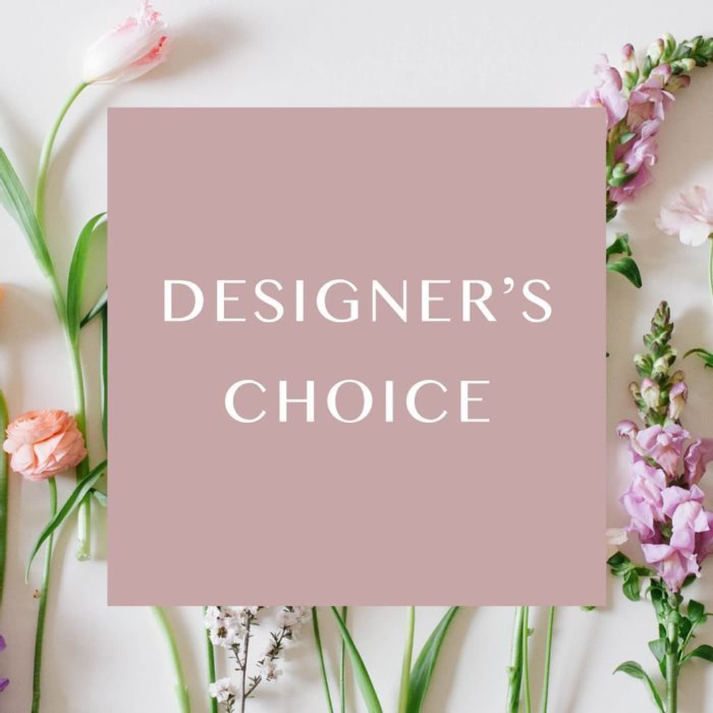Designer Choise