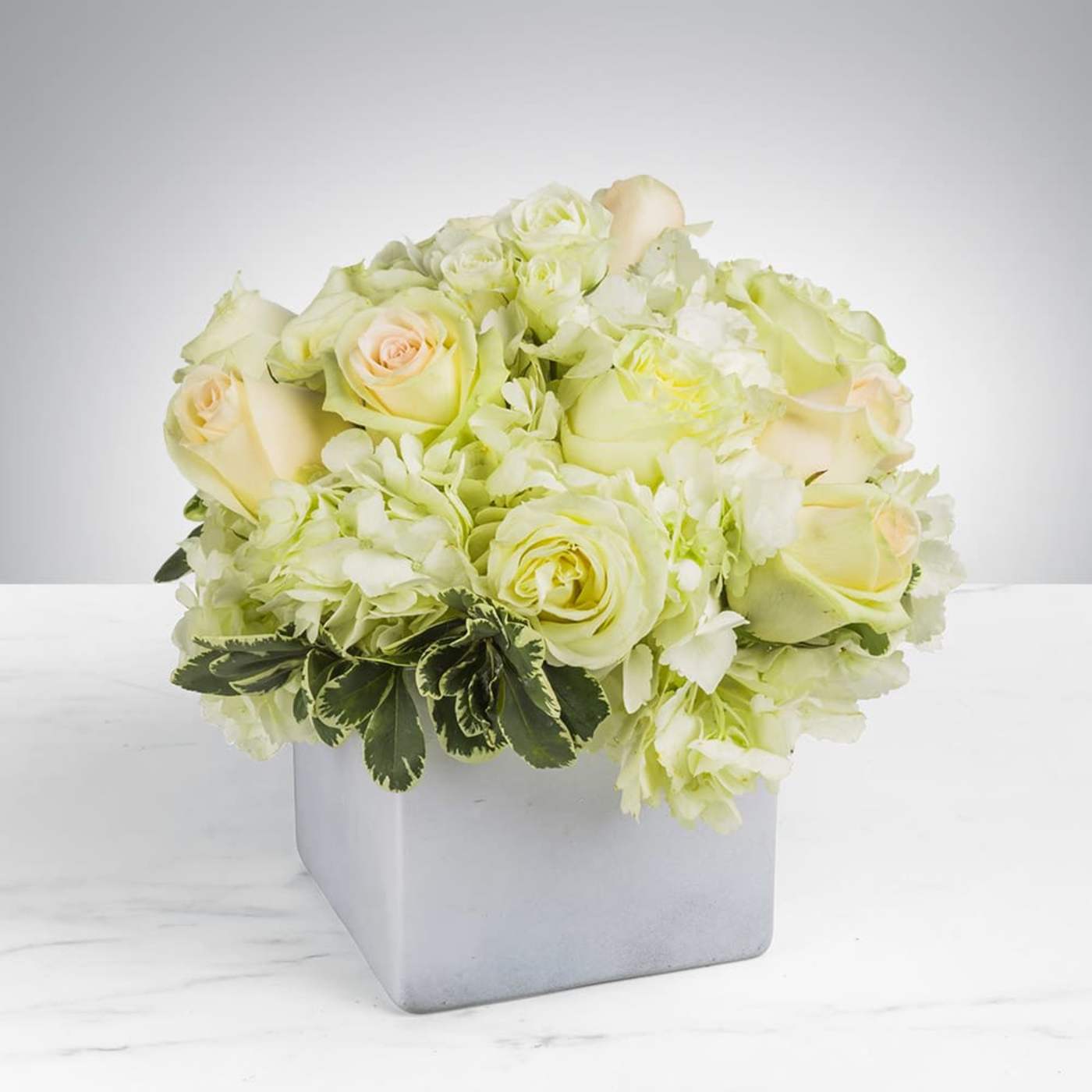 Elegant White Flower Arrangement – Same Day Delivery LA